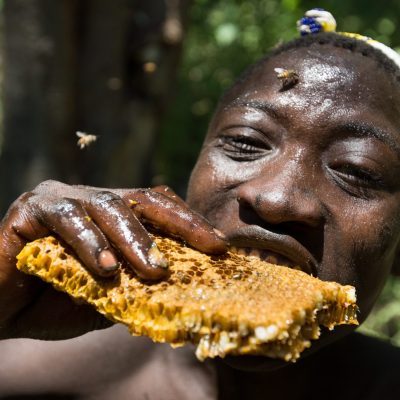 Hadza man eating honeycomb and larvae from a beehive.