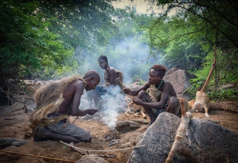 WhatsApp Image 2026-04-09 at 19.50.08 (2)